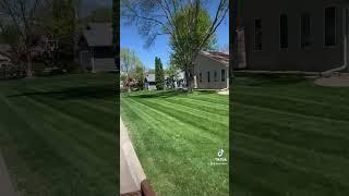 who doesn’t love a fresh cut #lawncare #exmark #lawnstripes #bosslawn