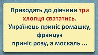 Сватання! Добірка Анекдотів Українською! Епізод #80