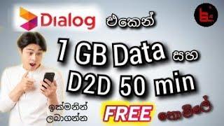 Dialog Free Data 2021 New