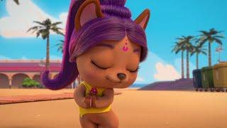 Luces, cámara y Bollywood  VIP PETS  NUEVO EPISODIO ESTRENO  Vídeos para niños en ESPAÑOL