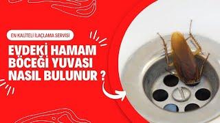 Evdeki Hamam Böceği Yuvası Nasıl Bulunur ? - ilaclama.com.tr