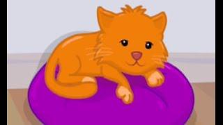 Sunny the Cat - English Songs for Kids