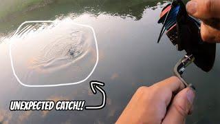 Unexpected Catfishing Adventure at Black Earth Creek