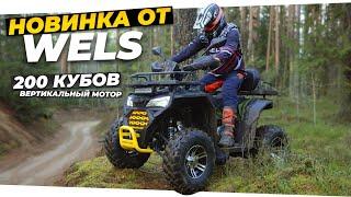 Новые эмоции от квадроцикла - Wels AX200 Pro