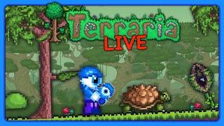 Chilling on The Chillest Terraria Server that is VERY Chill (Chillraria)