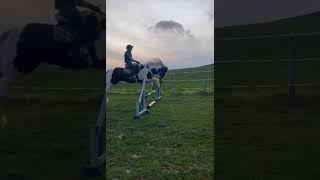 I could not see a stride  #horse #longjump #equestrian #fyp