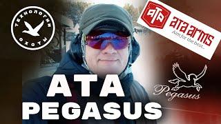 Ружьё Ata Pegasus обзор и сравнение с Bеnelli Comfort