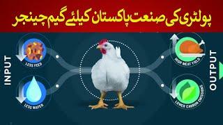 Poultry Industry is a Game Changer for Pakistan | Rich Pakistan