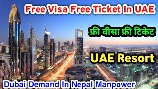 Free Visa Free Ticket In UAE | Dubai Demand In Nepal Manpower | Jobs Vacancies In Dubai |