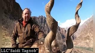 Hunting Bukharan Markhor in Tajikistan 