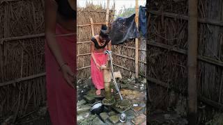 #TIMELAPSE: START to FINISH Alone BUILDLOG Cabin (Wooden House), How To Build Wooden Cabin, Surviva