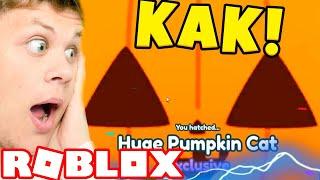 ПОТРАТИЛ 14B КОНФЕТ И ВЫБИЛ RAINBOW HUGE PUMPKIN CAT В PET SIMULATOR X В РОБЛОКС!? ROBLOX