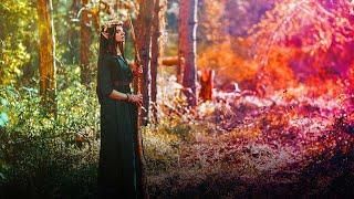 Walk in the Woods | Nature Sounds | Celtic Forest Music
