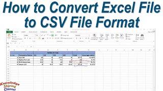 How to Convert Excel File to CSV File Format