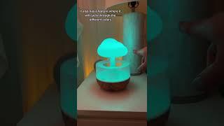 Aromatherapy Diffuser Humidifier