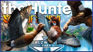 My BEST Hunt So Far on Salzwiesen Park! - the Hunter Call of the Wild