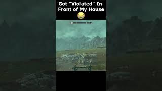 Got "Violated" In Front of My House  #skyrim #skyrimanniversary #elderscrolls #shorts