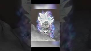 ️DOGS VS CATS️ (THE ETERNAL BATTLE)#edit #aura #trollfaceedit #dog #cat #funny #anime #dogs #cats