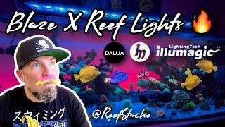 DALUA's Illumagic Blaze X reef lights for reef tank 