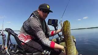 AMAZING Pike Attack | Kayak Fun | Pelagic Fishing