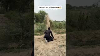 Hunting for birds nest 🪹#farming #nest #hunting #farmer #eggs