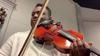 Mary Did You Know (Dominique Hammons Violin Cover)