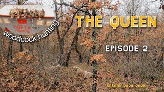 THE QUEEN - EP.2 / Κυνήγι Μπεκάτσας /Woodcock Hunting /Caccia alla Beccaccia /Çulluk Avı [2024-2025]