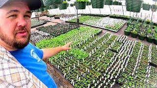 Our farms trick for the strongest plants