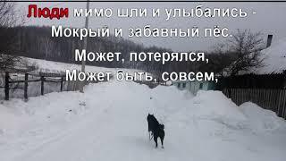 40 Старые Туймазы -  Караоке   Ласковый май "Бездомный пёс"