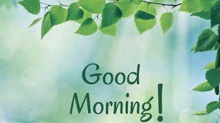 Beautiful Good Morning Wishes Image's For WhatsApp | 2025 Good Morning Greetings #bestwishes1