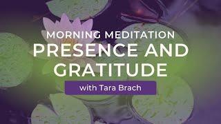 Morning Meditation: Presence and Gratitude with Tara Brach