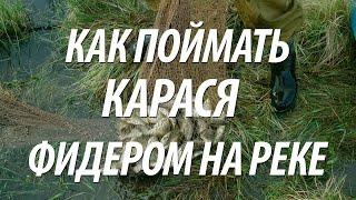 КАК ЛОВИТЬ КАРАСЯ НА ФИДЕР. РЫБАЛКА НА КАРАСЯ В ЧУВАШИИ НА РЕКЕ ЦИВИЛЬ