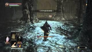 Dark Souls 3 - Где найти {Свиток знатока}  для Мага