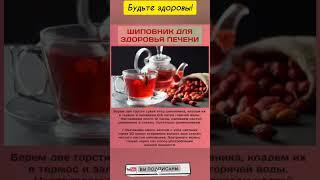 Шиповник для здоровья печени