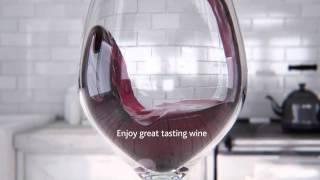 Savino Wine Preservation Glass Carafe SAV4006