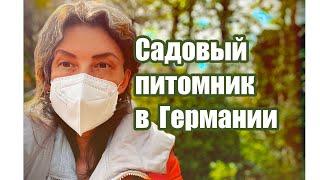 ГДЕ КУПИТЬ САДОВЫЕ РАСТЕНИЯ В ГЕРМАНИИ ,ЦЕНЫ В НЕМЕЦКОМ ПИТОМНИКЕ .ХВОЙНЫЕ КУЛЬТУРЫ ,ПОЧВОПОКРОВНИКИ