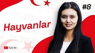 Hayvanlar | 8-dars | Turk tilidan so'zlashuv darslari