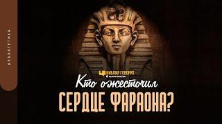 Кто ожесточил сердце фараона? | "Библия говорит" | 1482