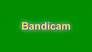 Bandicam не записывает игру