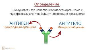 Иммунитет. Виды иммунитета