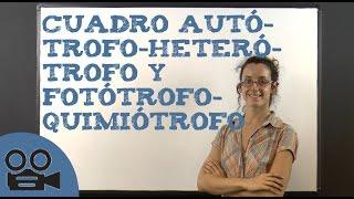 Cuadro autótrofo-heterótrofo y fotótrofo-quimiótrofo