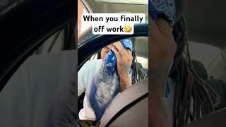 When you finally off work  #zbcartel