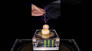  Music tesla coil #shorts #mushrooms