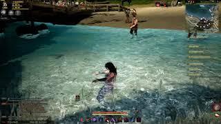 Insane Black Desert Online Bug