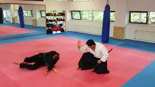 Aikido Hapkidon Demo  Schwert Samurai