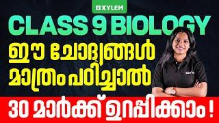 Class 9 Annual Exam | Biology | ഈ ചോദ്യങ്ങൾ മാത്രം പഠിച്ചാൽ 30 മാർക്ക് ഉറപ്പിക്കാം | XylemClass9