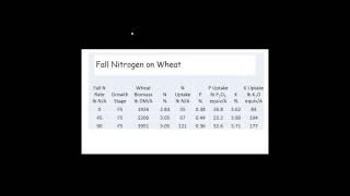 Fall Nitrogren on Wheat - Lloyd Murdock and John Grove