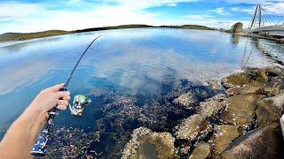 Land based fishing, Central Coast | Bridges | Rock Walls!