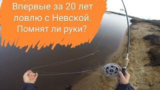 Ловлю с Невской катушкой впервые за двадцать лет. Помнят ли руки?