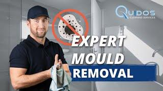 Hidden Dangers in Your Home: Expert Mould Removal by Quidos Cleaning Services